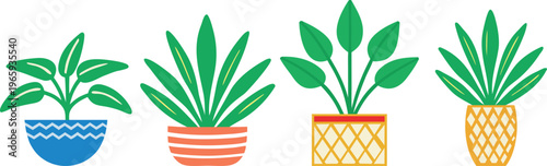 Colorful illustration of four potted houseplants with different patterns