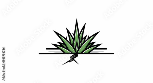 Green agave plant emerges from a crack in the ground