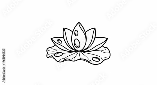 Outline drawing of a stylized lotus flower with multiple petals and water lily leaves