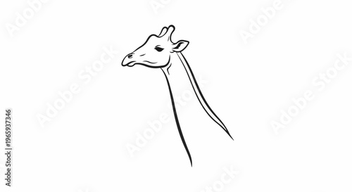Minimalist line art sketch of a giraffe's head and neck looking to the left