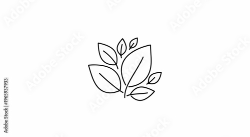 Stylized minimalist outline of various green leaves against a white background