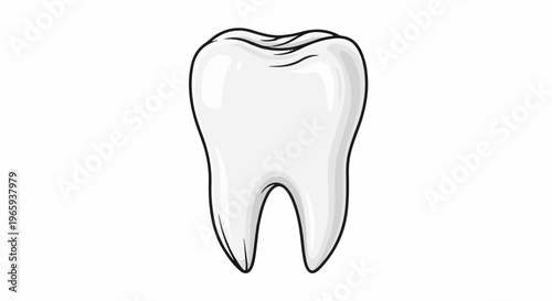 A simple illustration of a healthy, white tooth with two roots