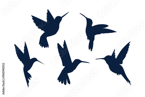 Five dark blue hummingbirds flying in different directions