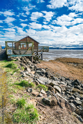Willapa Landscape Scene 2