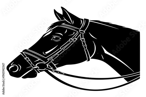 Horse Head Profile Bridle Bit Equestrian Club Logo Design Equine Beauty Black Vector