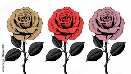 Three elegantly drawn roses in varying shades of red with black stems and leaves Vector
