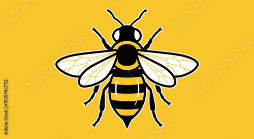 Cartoon bee illustration on yellow background isolated vector design