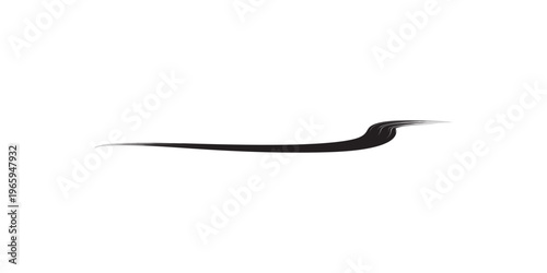 Elegant Black Eyeliner Stroke Isolated on White Background.