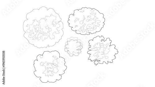Simple tree canopy outlines top view for architectural site plans and landscape drawings.