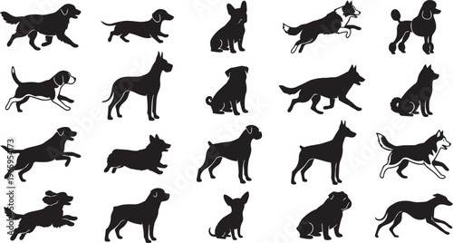 Dog breed silhouettes: diverse canine companions posed for stock media