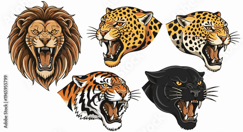 Fanged jungle cats lion, tiger, jaguar, black panther heads roaring