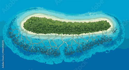 Aerial view of a lush island with vibrant green trees and exposed mangrove roots in clear blue water