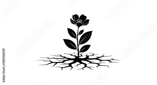 A delicate flower emerges from cracked earth its form depicted as a striking black silhouette high quality professional detailed modern elegant