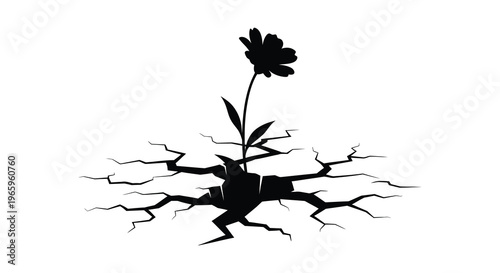 A delicate flower grows from cracked earth visually representing resilience and hope in a striking silhouette high quality professional detailed modern