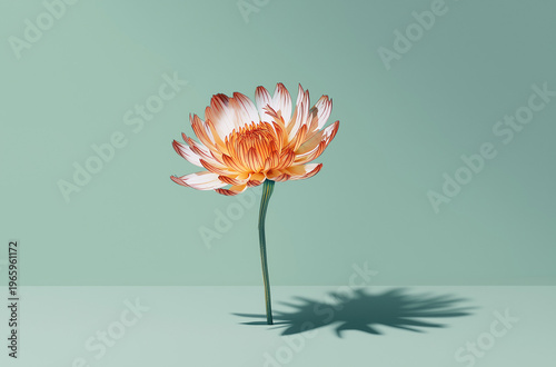 A single orange flower stands alone on a green background with a shadow cast below it.
