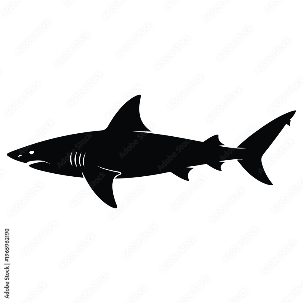 Fototapeta premium A striking black and white illustration of a great white shark swimming powerfully silhouette