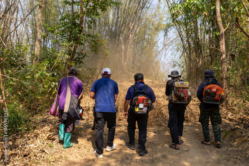Quadro em tela Wildfire prevention team creating firebreak clearing dry bamboo forest with leaf