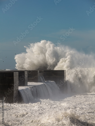 Wallpaper Mural Big stormy wave splash Torontodigital.ca