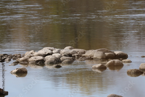 Obraz na płótnie cluster of rocks, boulders in shallow river water (close-up)
