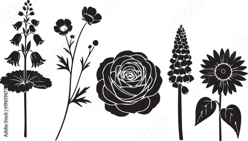 Floral Silhouette Collection Rose Sunflower Poppy Isolated Design