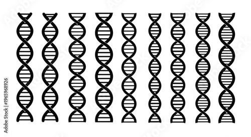 DNA strands illustration - A visual representation of genetic information.