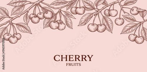 Vintage illustration of cherry fruits on a branch, perfect for culinary and artistic applications