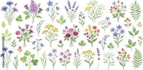Watercolor collection of diverse wildflowers and delicate botanical elements. Hand-painted spring and summer blooms, perfect for nature-inspired designs and artistic projects