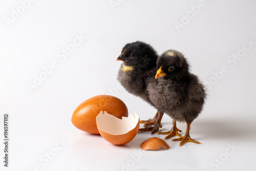 Conceptual scene of partner...