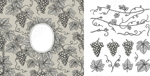 Vintage Botanical Illustration of Grapevines and Bunches with an Oval Frame on a Textured Background