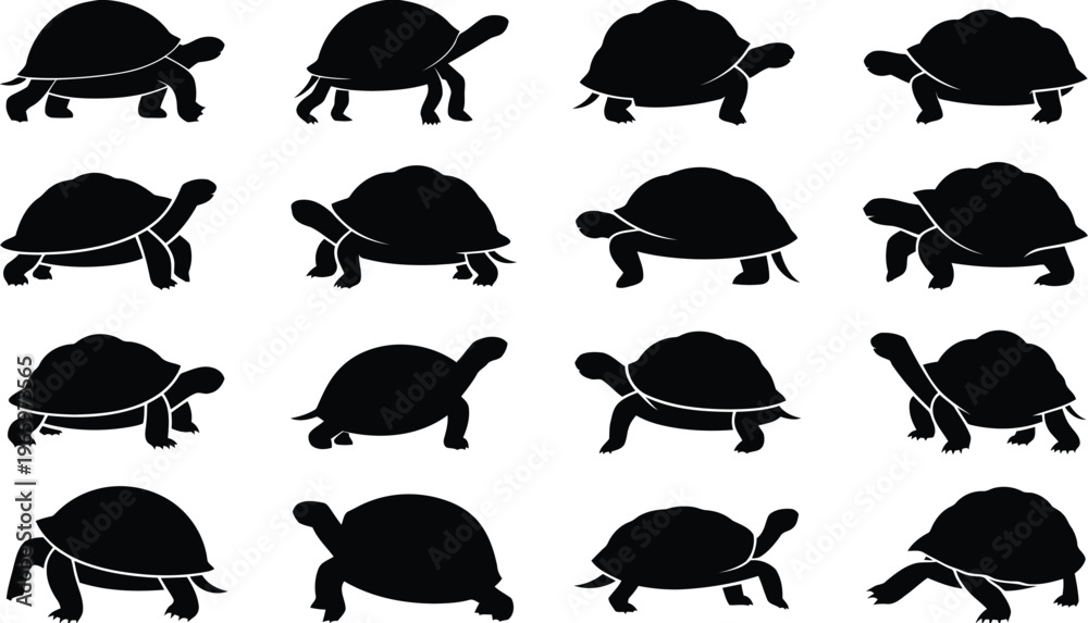Fototapeta premium Black turtle silhouettes in various walking and resting poses for graphic projects