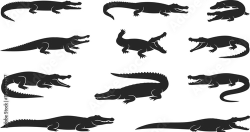 Set of crocodile silhouettes in various swimming and resting poses