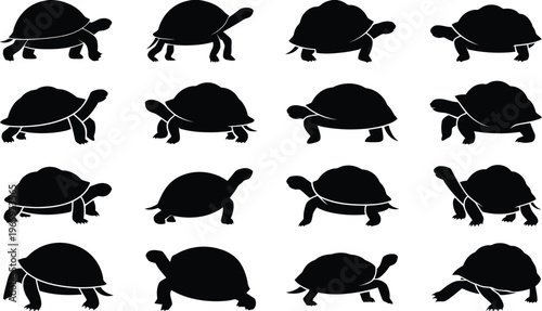 Black turtle silhouettes in various walking and resting poses for graphic projects