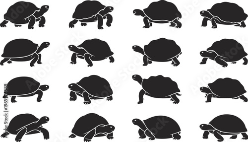 Detailed black turtle silhouettes in diverse movement poses for creative designs