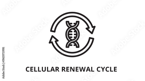 Cellular Renewal Cycle Icon Representing DNA Replication, Genetic Repair, Mitosis, Molecular Biology, Biotechnology, Life Science, Continuous Cellular Regeneration, and Medical Research Concept