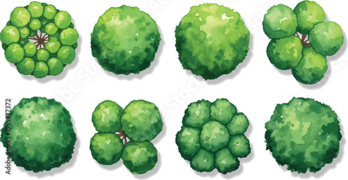 Watercolor landscape architecture trees top view, set of 8 green garden plant symbols for site planning, architectural master plan vegetation icons in vector format isolated PNG with Transparent