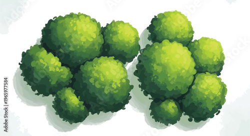 Lush green bushes in top view for architectural site plans, stylized garden shrubbery vector illustration, organic round hedge plants for landscape design and map making isolated PNG with