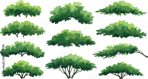Watercolor green bushes and garden shrubs collection, set of 11 organic foliage vector elements, lush forest vegetation and landscape greenery for architectural visualization isolated PNG with