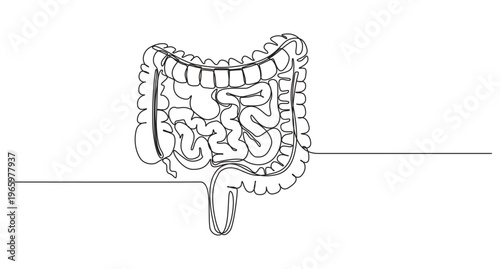 Human Digestion one continuous line art drawing, Digestive one hand drawn medical concept,one Continuous Line Drawing of Intestines Icon. Hand Drawn Symbol Vector Illustration,