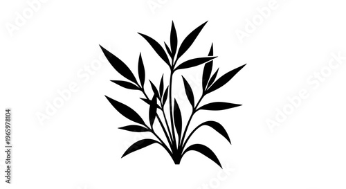 Black Silhouette of Lush Green Bamboo Leaves.