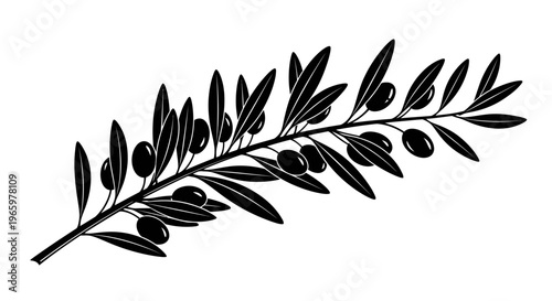 Black Silhouette of an Olive Branch with Ripe Olives.