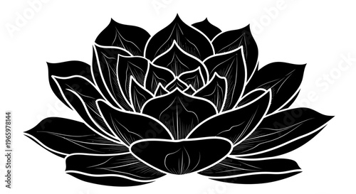 Black Succulent Plant Silhouette with White Outline.
