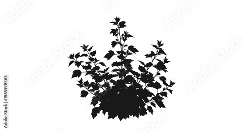 Dense shrub silhouette isolated on white background.