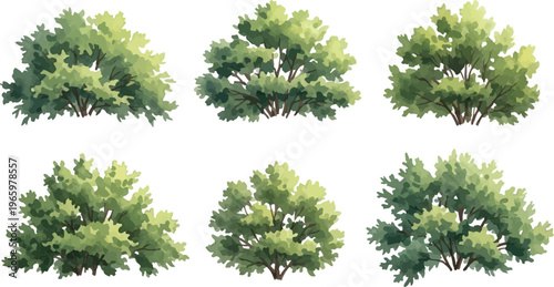 Watercolor garden bushes collection, set of 6 green shrubbery vector elements, lush foliage plants for landscape design, botanical greenery illustrations for outdoor scenes isolated PNG with