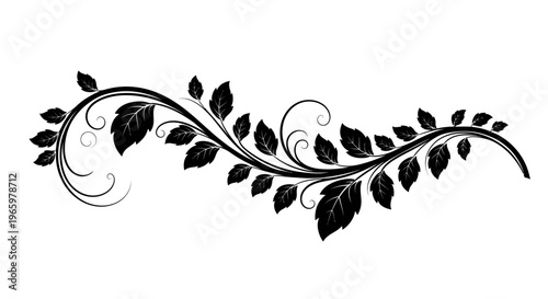 Elegant Black Floral Swirl Design with Leaves and Ornate Curls.