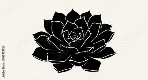 Elegant Black Silhouette of a Succulent Plant.