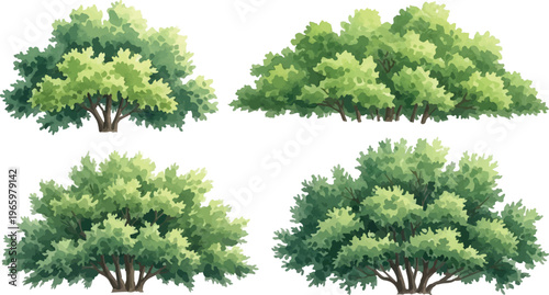 Lush green bush collection with 4 vector elements, realistic garden shrubbery set for landscape design, organic foliage and leafy hedge plants for architectural visualization isolated PNG with