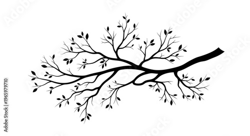 Silhouette of a bare tree branch with small leaves.