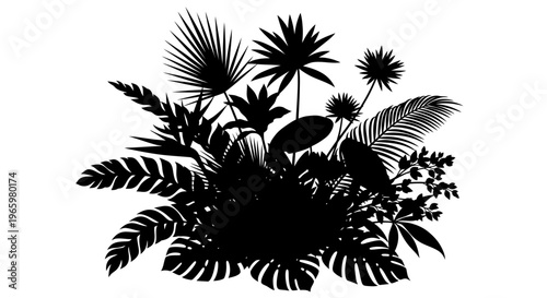 Silhouette of lush tropical jungle foliage and plants.