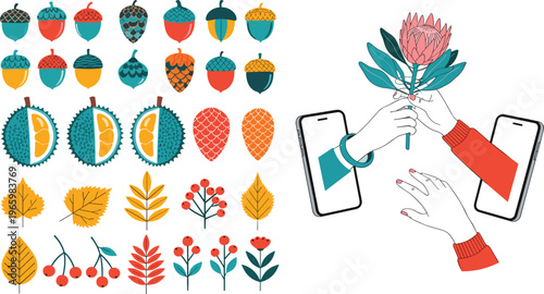 Vector set of autumn nature elements including acorns, fall leaves, berries, and durian fruit icons combined with conceptual digital hands giving flowers through smartphones