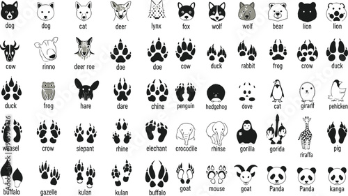 Animal and Animal Paw Print Vector Set Featuring Dog, Cat, Lion, Elephant, Panda, Fox, Giraffe, Gorilla, and More